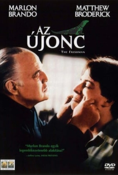 Az újonc (DVD) *Antikvár - Kiváló állapotú*