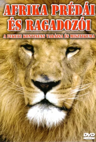 Afrika prédái és ragadozói (DVD) *Antikvár-Kiváló állapotú*