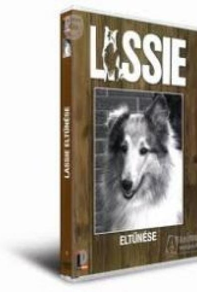 Lassie eltűnése (DVD) *Antikvár - Kiváló állapotú* 