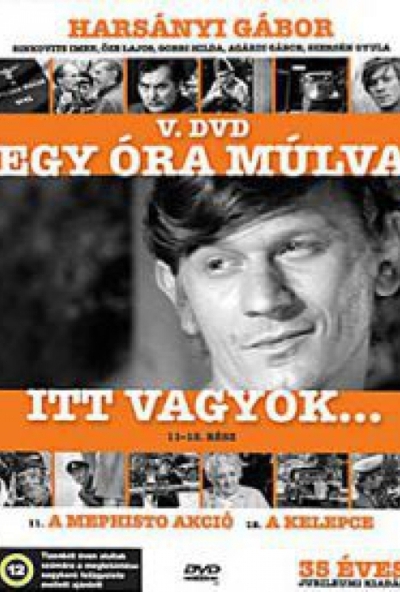 Egy óra múlva itt vagyok V. (11-12. rész) (DVD)