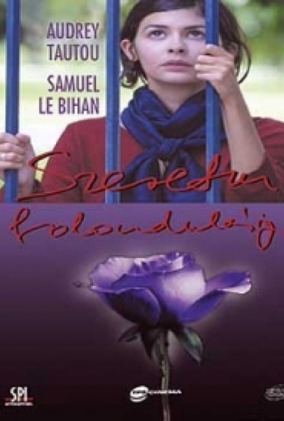 Szeretni bolondulásig (DVD) *Audrey Tautou - Antikvár - Kiváló állapotú*