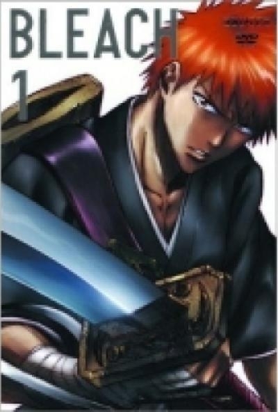Bleach 1. (DVD)