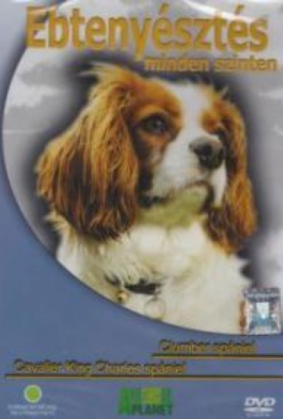 EBTENYÉSZTÉS MINDEN SZINTEN - CLUMBER SPÁNIEL, CAVALIER KING CHARLES SPÁNIEL (DVD)