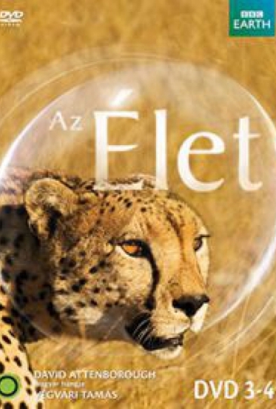 Az élet 3-4. (2 DVD) *Antikvár - Kiváló állapotú*