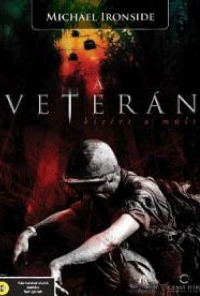 A veterán: Kísért a múlt (DVD)