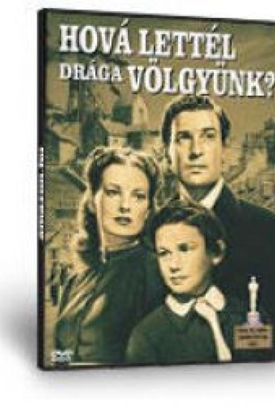 Hová lettél, drága völgyünk? (DVD)