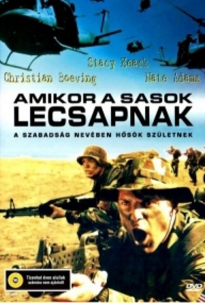 Amikor a sasok lecsapnak (DVD) *Antikvár - Kiváló állapotú*