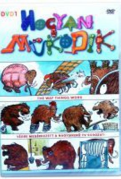 Hogyan működik 1. (DVD)
