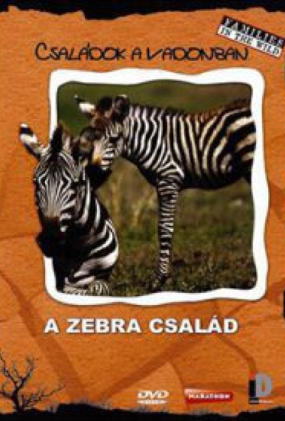 Családok a vadonban: A zebra család (DVD)