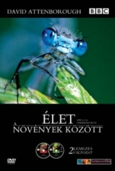 David Attenborough - Élet a növények között (2 DVD) *Antikvár - Kiváló állapotú* 	
