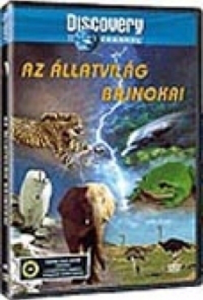 Állatvilág bajnokai - Discovery (DVD)