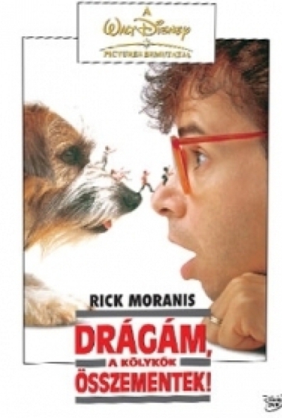 Drágám, a kölykök összementek (DVD)  *Klasszikus szinkronnal - Rick Moranis - Antikvár - Kiváló állapotú*