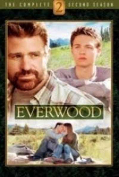 Everwood - 2. évad (6 DVD)