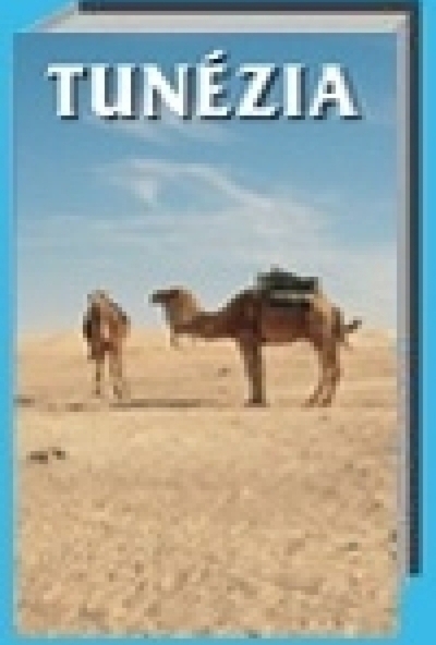 Utifilm - Tunézia (DVD)