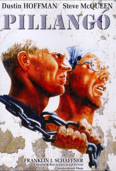 Pillangó (DVD) *Steve McQueen - Dustin Hoffmann - A világhírű könyv filmváltozata* *Antikvár - Kiváló állapotú*