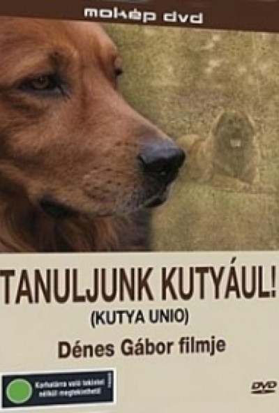 Tanuljunk kutyául! (DVD) *Antikvár - Kiváló állapotú*