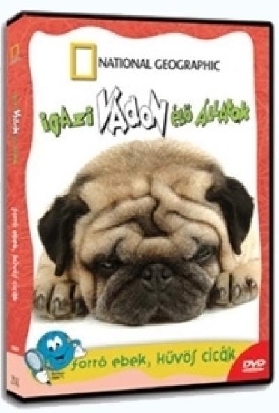 N.G. - Igazi Vadon Élő Állatok - Forró ebek, hűvös cicák (DVD)