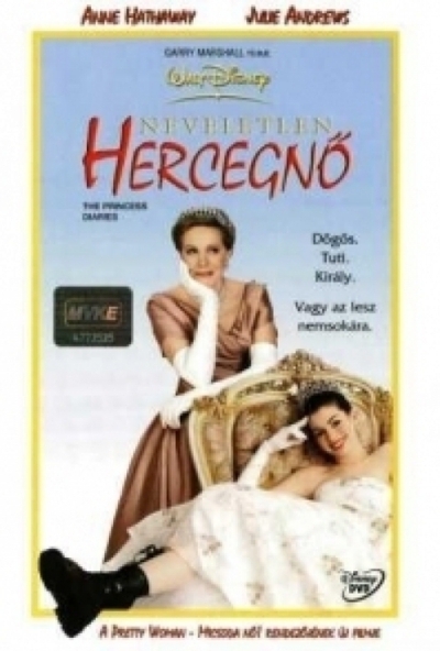 Neveletlen hercegnő 1. (DVD) *Antikvár-Kiváló állapotú*