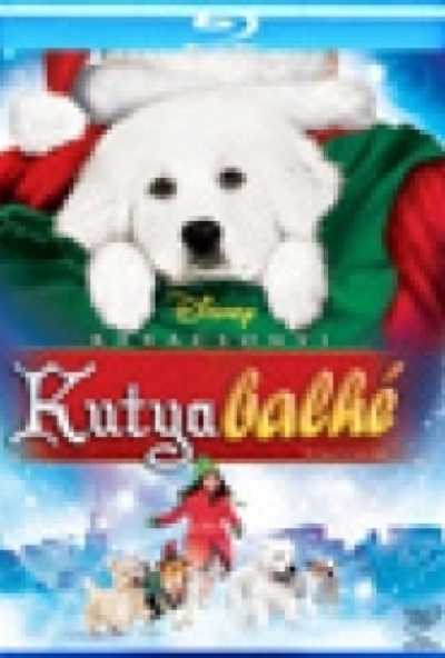 Karácsonyi kutyabalhé (Blu-ray)