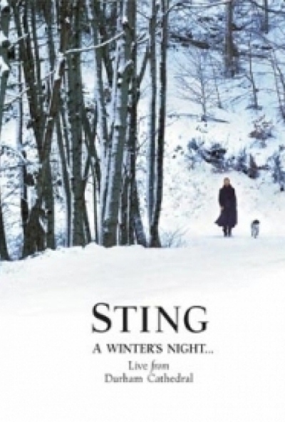 Sting: A Winter (DVD)