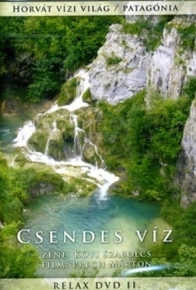 Kövi Szabolcs: Csendes víz (DVD)