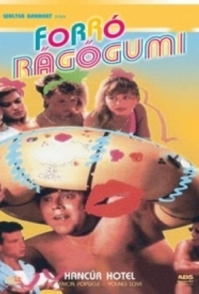 Forró rágógumi 5.-Hancúr Hotel (DVD)  *Antikvár-Kiváló állapotú*