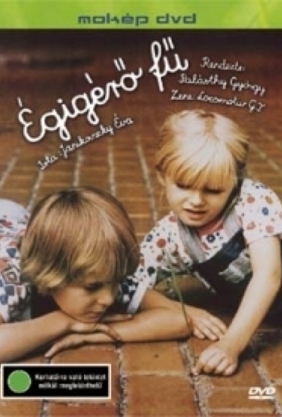 Égígérő fű (DVD)