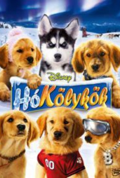 Hókölykök (DVD) *Antikvár - Közepes állapotú*