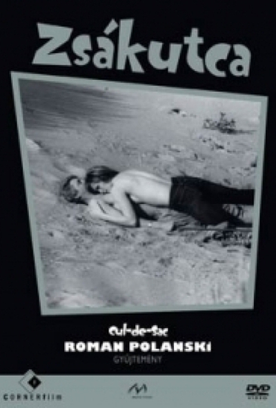 Zsákutca *1966 - Roman Polanski* (DVD) *Antikvár - Kiváló állapotú*