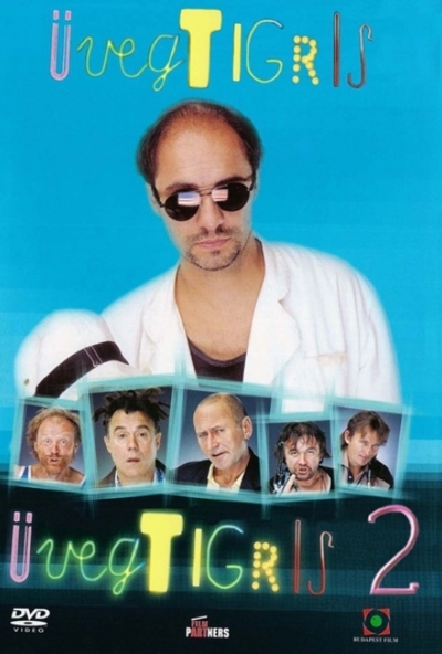 Üvegtigris 1. (DVD) *Antikvár - Kiváló állapotú*