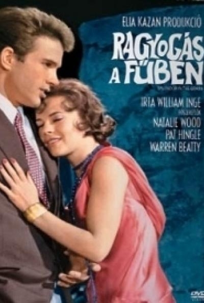 Ragyogás a fűben (DVD)