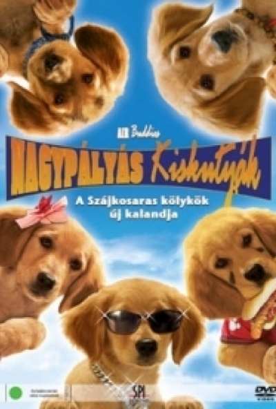 Nagypályás kiskutyák (DVD) *Antikvár-Kiváló állapotú*