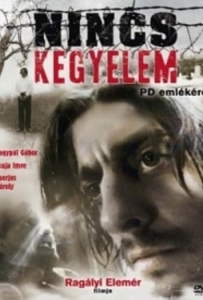 Nincs kegyelem *Magyar film - Nagypál Gábor - Csuja Imre* (DVD) *Antikvár - Kiváló állapotú*