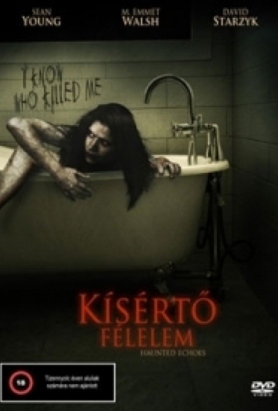 Kísértő félelem (DVD) *Antikvár - Kiváló állapotú*