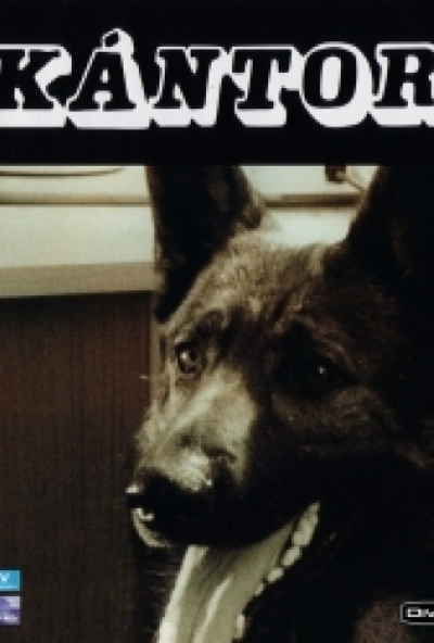 Kántor (1-2) (2 DVD) *Madaras József*