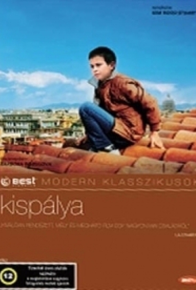 Kispálya (DVD)