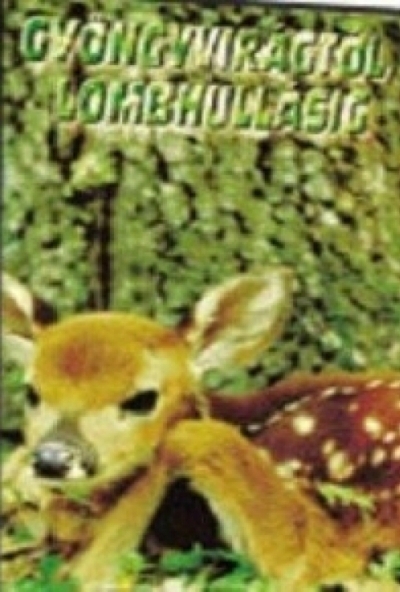 Gyöngyvirágtól lombhullásig (DVD) *Homoki Nagy István rendezte - Antikvár - Kiváló állapotú*