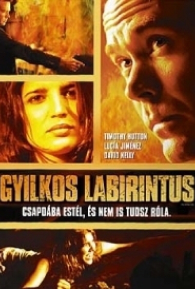 Gyilkos labirintus (DVD) *Timothy Hutton- Antikvár - Kiváló állapotú*