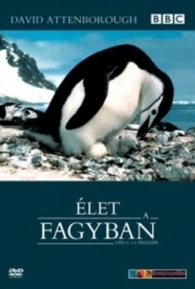 David Attenborough: Élet a fagyban (2 DVD)