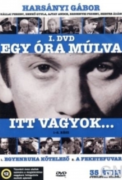 Egy óra múlva itt vagyok I. ( 1-2. rész ) (DVD)