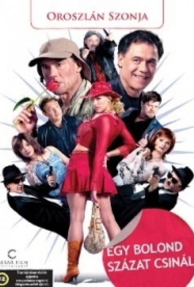 Egy bolond százat csinál (DVD) (Gáspár Sándor) *Antikvár-Kiváló állapotú*