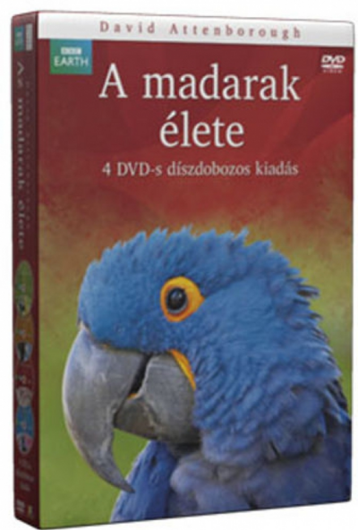 David Attenborough - A Madarak Élete *BBC* (4 DVD) *Díszdobozos*