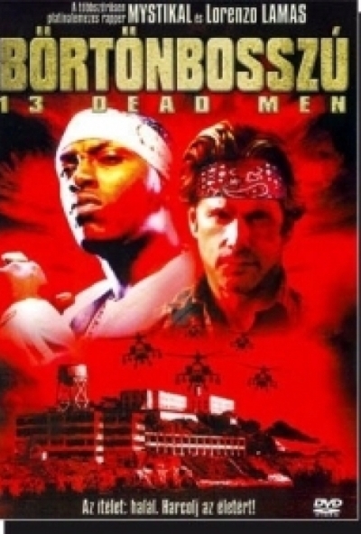 Börtönbosszú (DVD) *Antikvár-Kiváló állapotú*