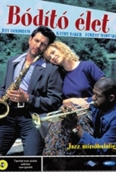 Bódító élet (DVD)