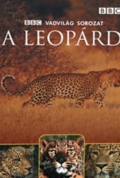 Vadvilág sorozat: A leopárd (DVD) *Antikvár - Kiváló állapotú*