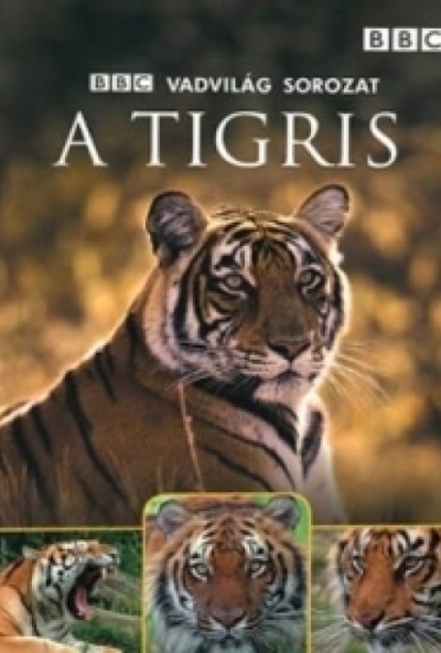 Vadvilág sorozat: A tigris (DVD) *Antikvár - Kiváló állapotú*
