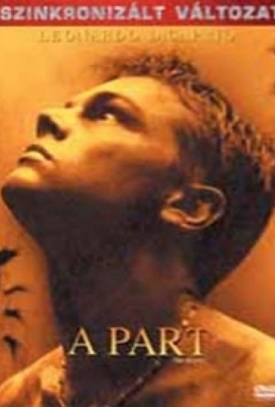 A Part *Szinkronizált* (DVD) *Leonardo DiCaprio - Antikvár - Kiváló állapotú* 