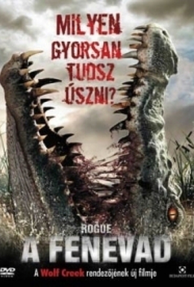 A fenevad (DVD) *Antikvár - Kiváló állapotú*