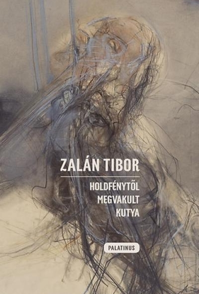 Holdfénytől megvakult kutya