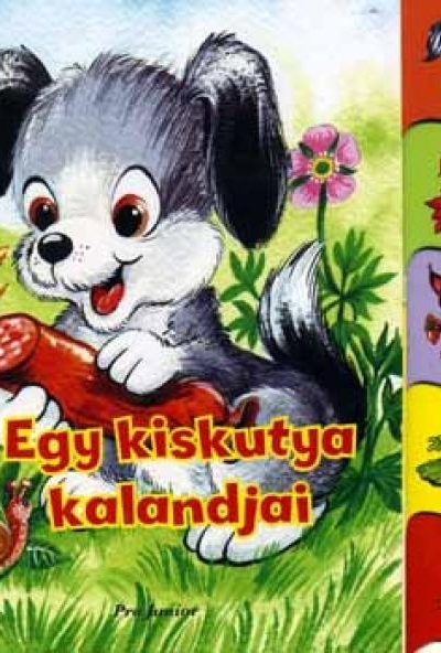 Egy kiskutya kalandjai